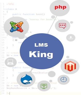 Joomla PHP Development Services by LMS King Products